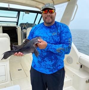 Meet your Posher, Carlo